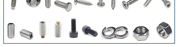 OEM Customized Wholesale High-Quality Stainless Steel Battery Spring with Good Conductivity