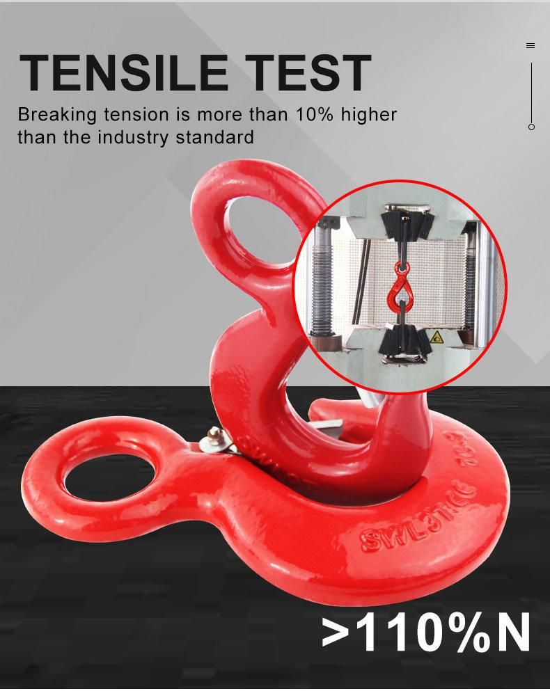 Thinkwell Us Type Forged 320 Eye Hook with Latch