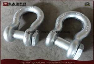 Screw Pin Galvanized Drop Forged Us Bow Shackle