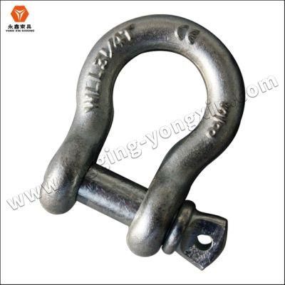 Good Quality Steel SS316/SS304 Hot Galvanized Screw Pin Lifting Anchor Shackle