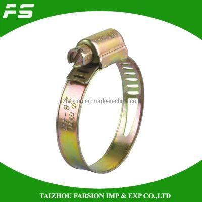 Galvanized Steel/Stainless Steel W1 W2 W4 W5 Worm Gear Drive Perforated Band American Type Hose Pipe Clamp