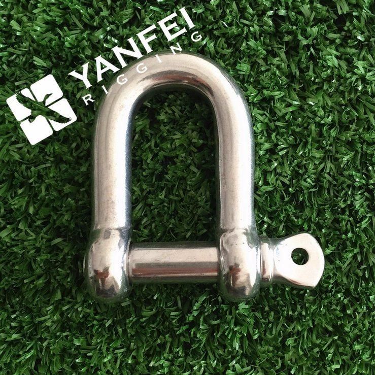 Stainless Steel AISI304/316 D Shackle