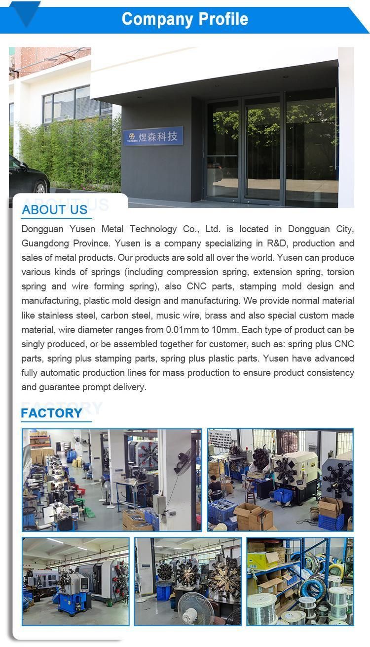 Chinese Manufacturers Produce Various Process Line Molding Products