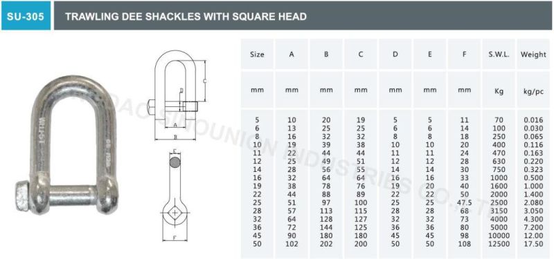 Trawling Dee Shackle with Square Head Pin