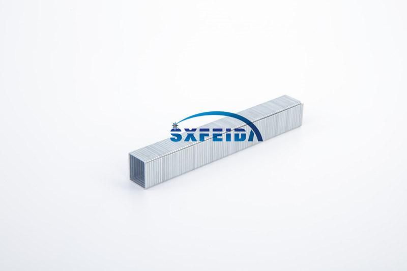 50series Staples