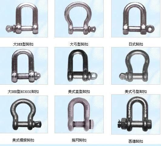 European Bow Type Shackle, E. Galvanized, Good Quality