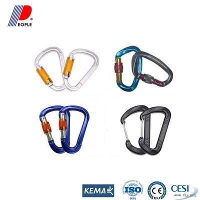 Colorful Isure Strong Metal Carabiner Clip Spring Snap Loaded Climbing Karabiner D Hook