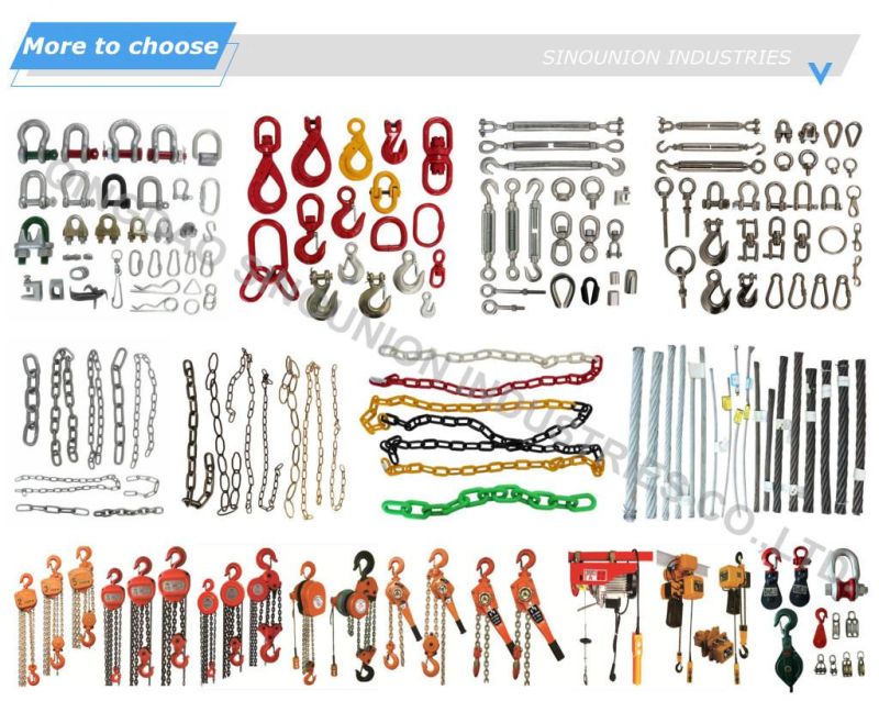 Stainless Steel AISI304/AISI316 Shackle, Wire Rope Clips, Turnbuckles, Rigging Hardware