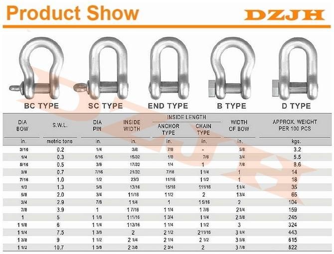 Chinese Manufacture Lifting D Ring Anchor Shackle