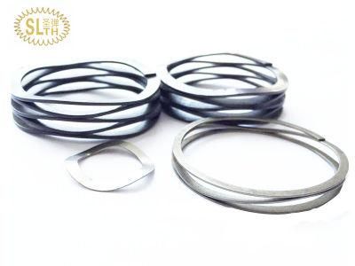 Slth-Ws-005 Stainless Steel 304 316 Music Wire Wave Spring for Industry