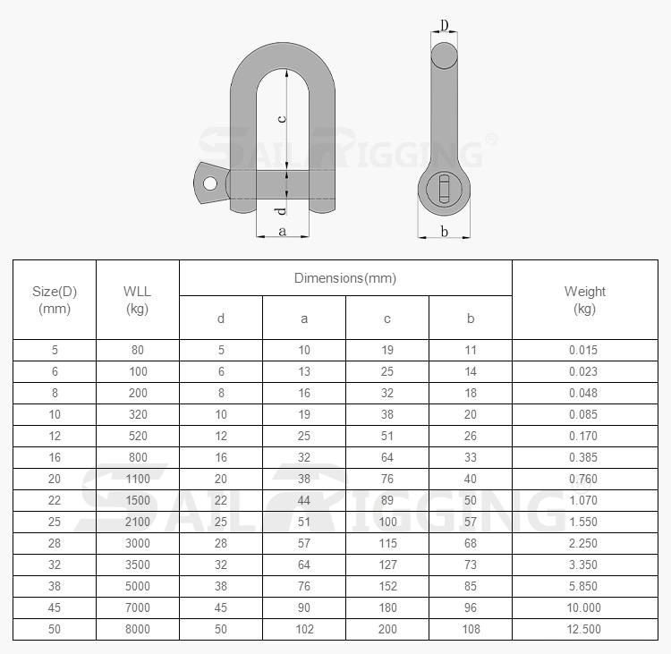 Stainless Steel 316 European Type Large Dee Shackle 4mm