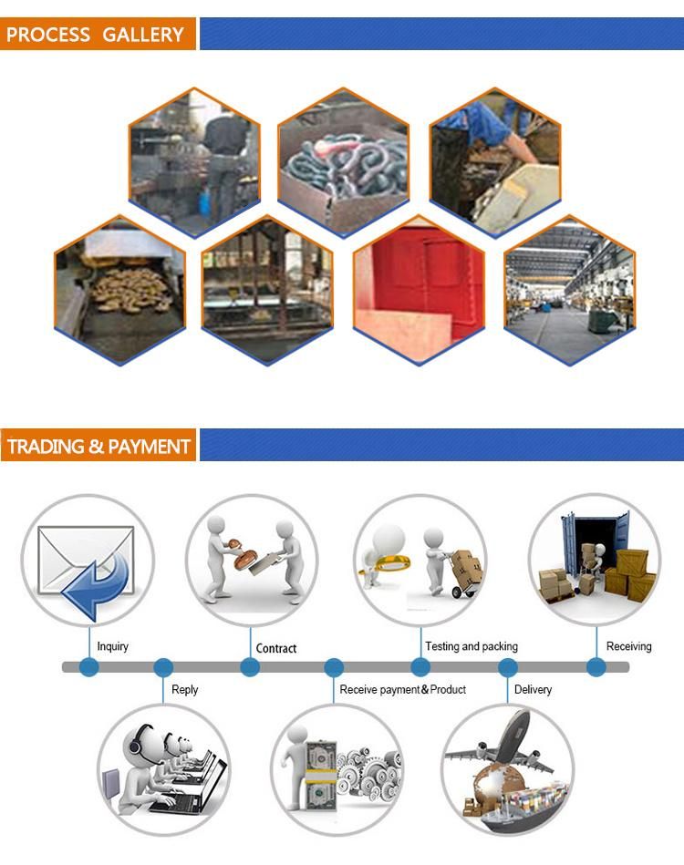 Fastener G210 Us Load Rated Dee Shackle for Link Chains