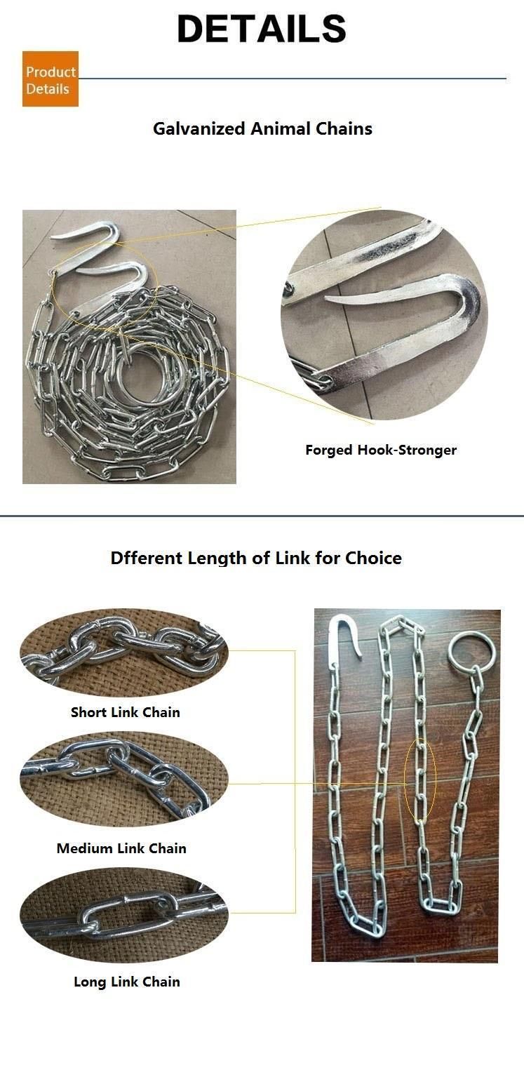 China Factory Industrial Galvanized Metal Chain with Hook