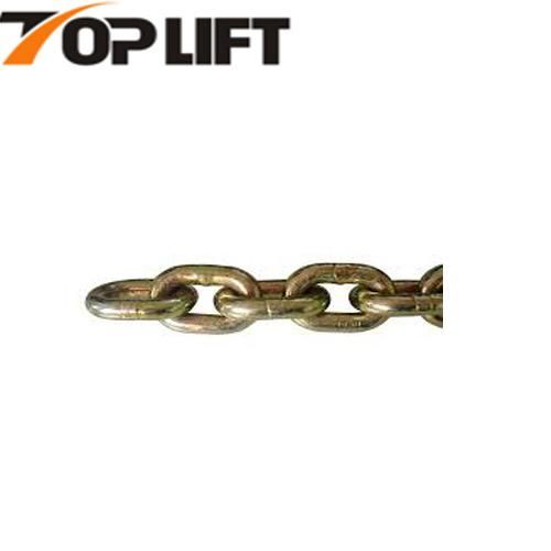 High Performance DIN763 Link Chain of Germany Type