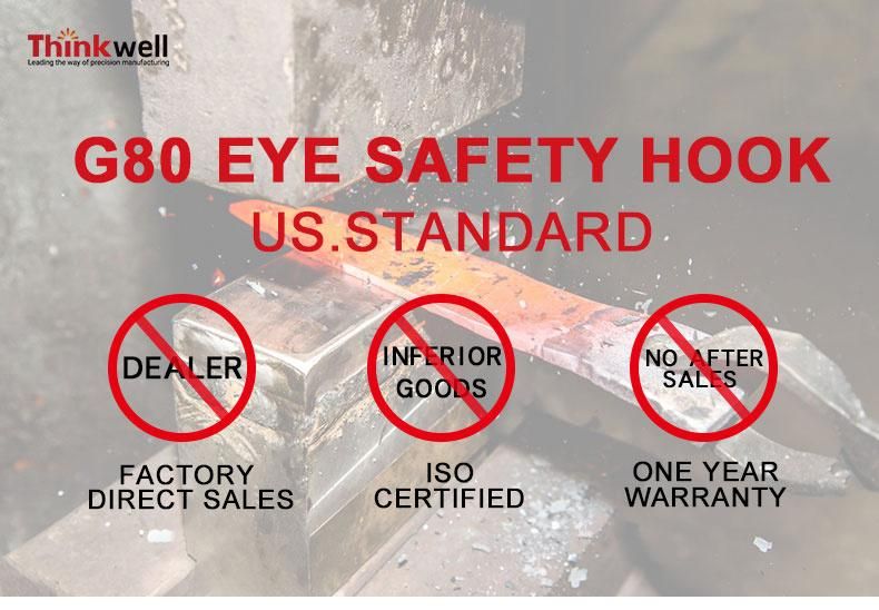 Us Type G 80 Alloy Powder Coated Eye Safety Hook