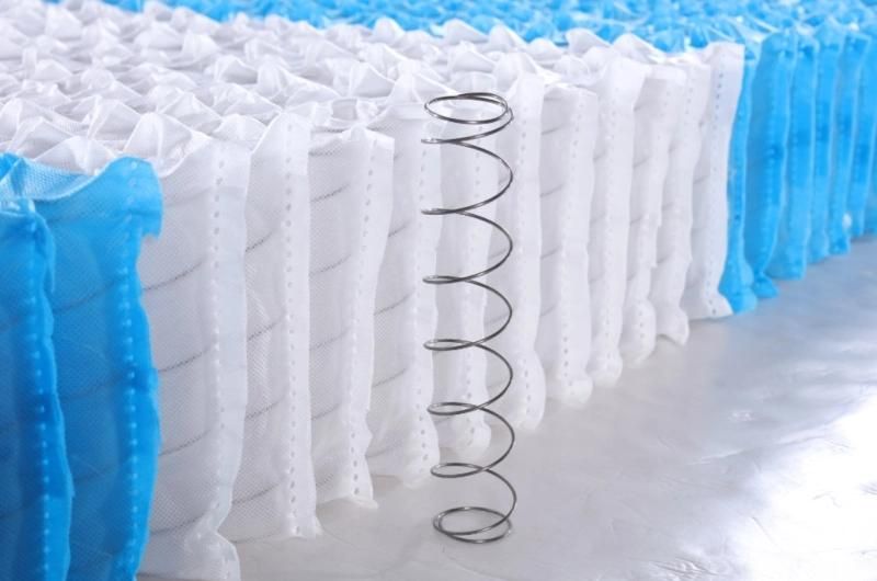 20cm 8inches Height 1.6mm Zoned No Noise Mini Pocket Spring Sprung Coil in Different Wire Gauge with 70g White Blue Nonwoven Color