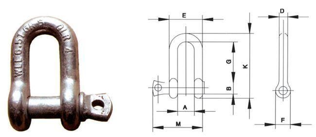 5/8 Inch Screw Pin Galvanized D Shackle