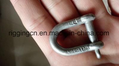 Customed Size Forged Lifting D Shackle D Ring with Screw Pin