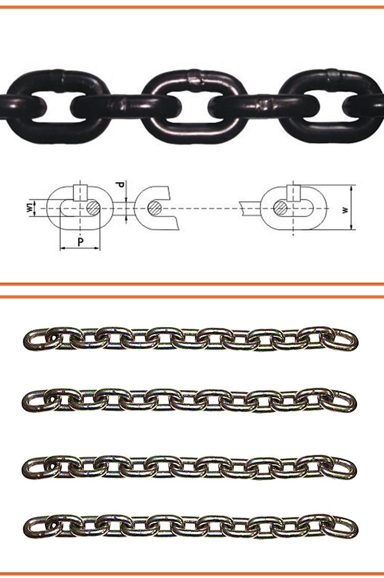 Factory Supply Powder Coating Lashing Chain with ISO9001 Certificates