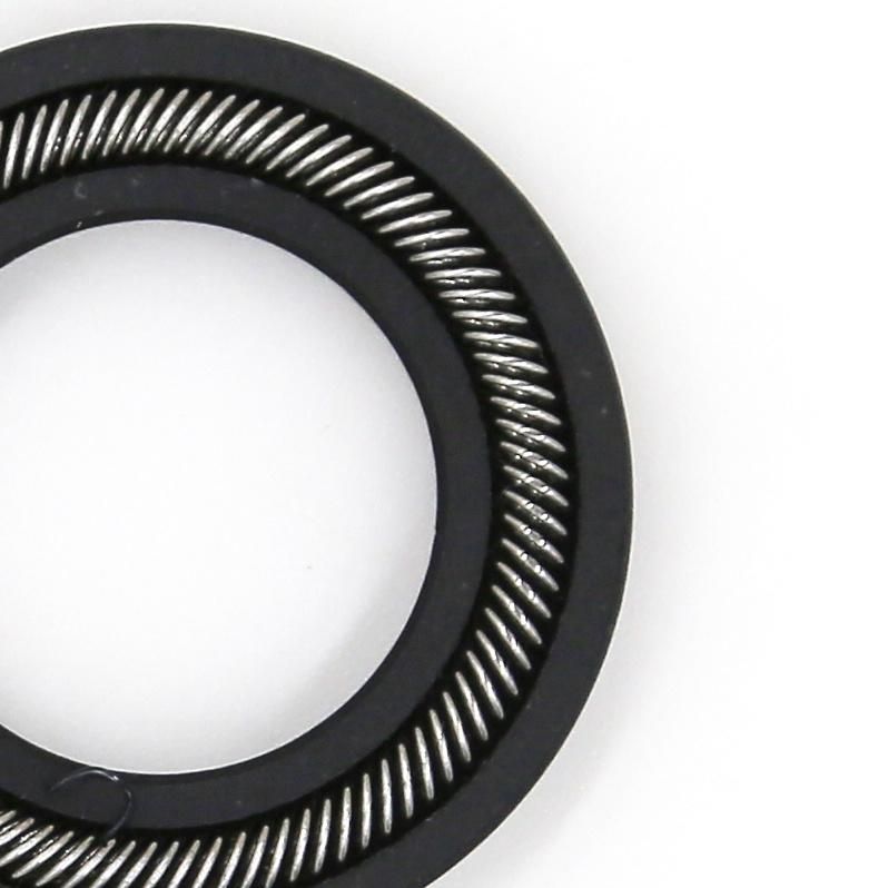 Factory Stainless Steel 304 Canted Coil Spring for Seals