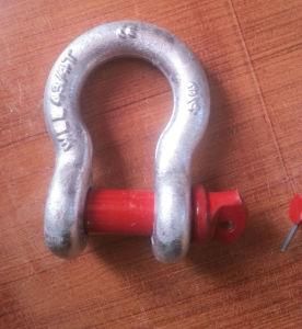 G209 Us Type Foreged Screw Pin Anchor Shackle