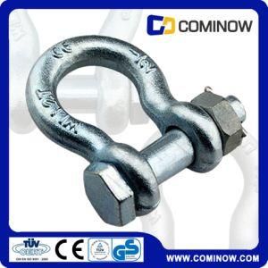 Us Type Drop Forged Hot DIP Galvanized Anchor Shackle