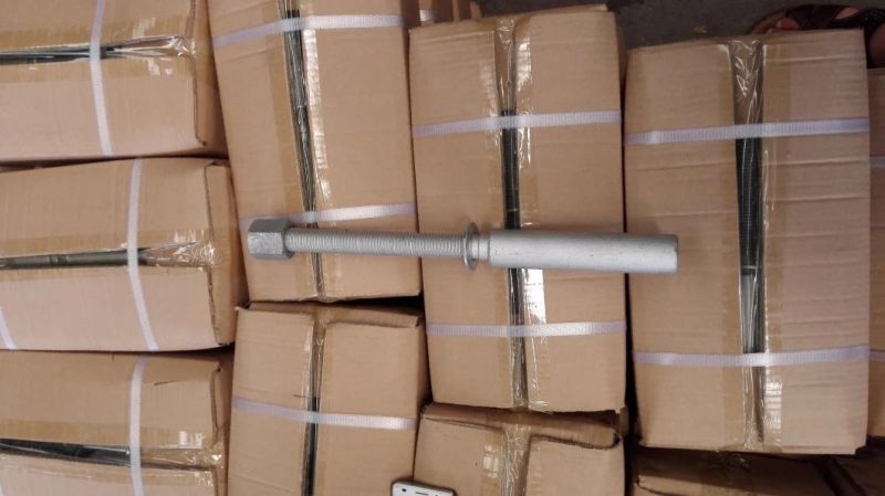 Stainless Steel Long D Shackle with Lock Pin