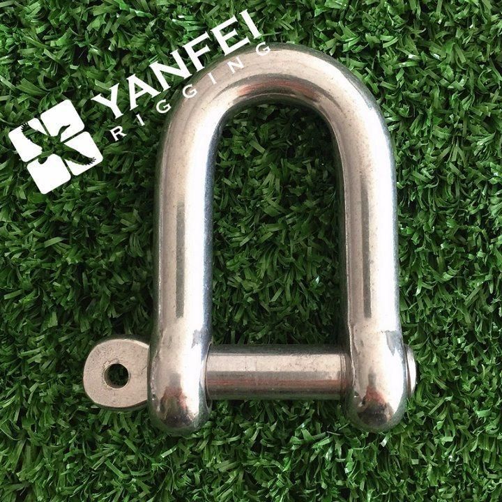 Stainless Steel Long D Shackle