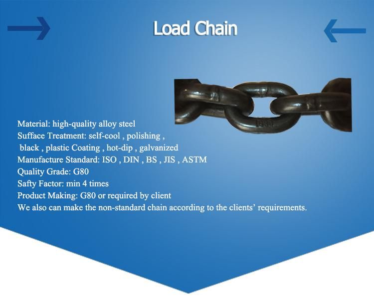 Cheap Price Sling Chain with Two Eye Grab Shorting Hook