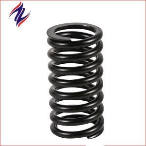 Customized Compression Spring with Electrophoresis Coating