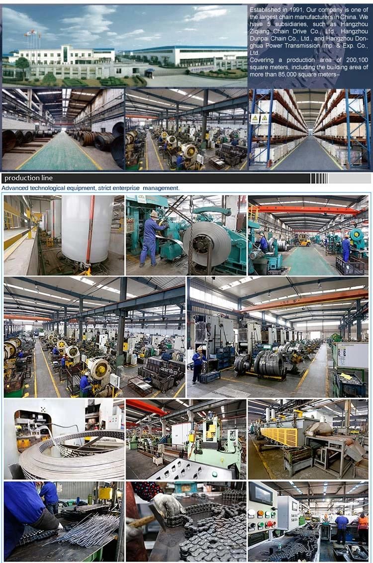 hot sale Roller Conveyor DONGHUA China Leaf Driving hangzhou chains Industry chain