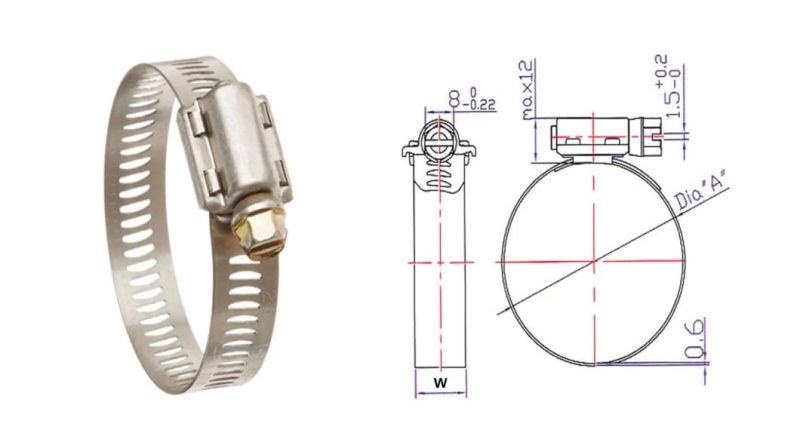 Stainless Steel and Iron Galvanized Worm Drive Hose Clamp