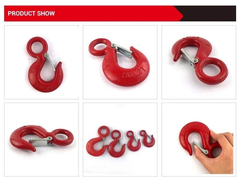 Us Type S320 Eye Hook with Latch