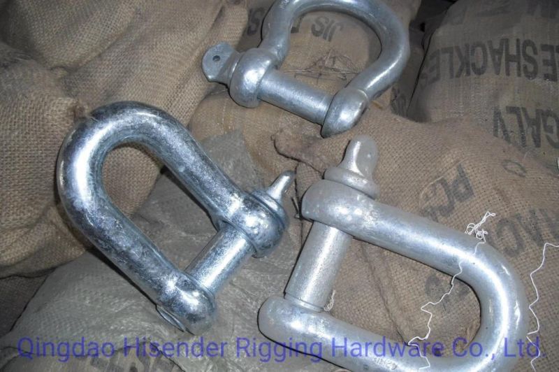 Shackle, D Type, Ss316 and Galvanized Type, European D Type, JIS D Type, Rigging Hardware, Marine Hardware