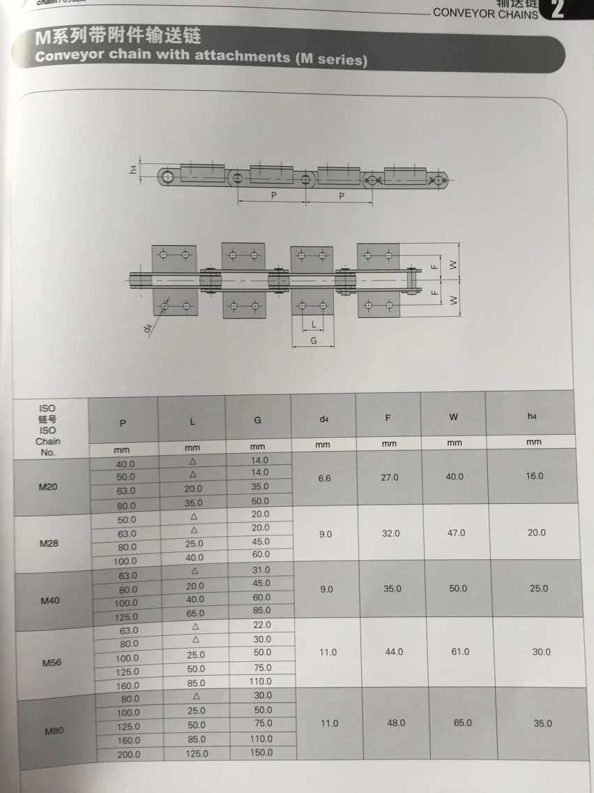 M Series Conveyor Chains for Machine