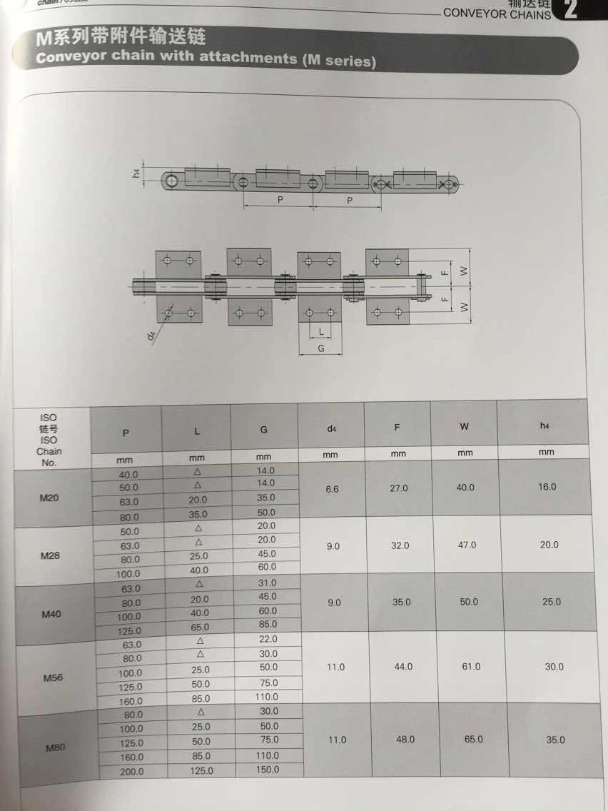 M Series Conveyor Chains for Machine