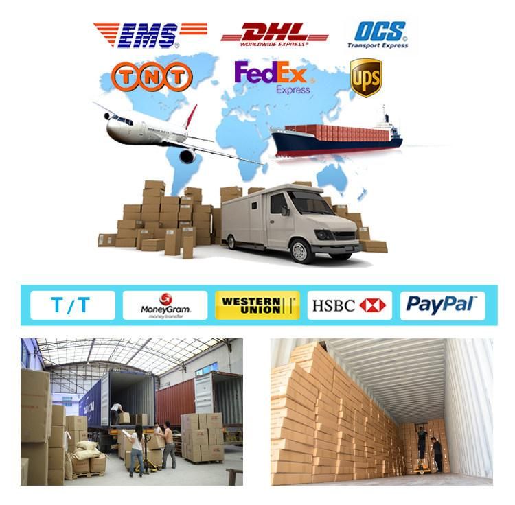 Professional Customized Gas Spring Auto Truck Lift