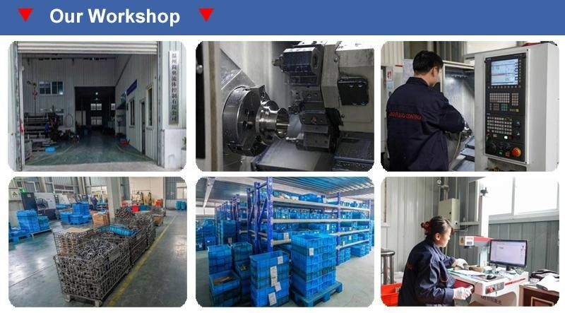 SS304 SS316L Casting 13 Mhp High Pressure Clamp