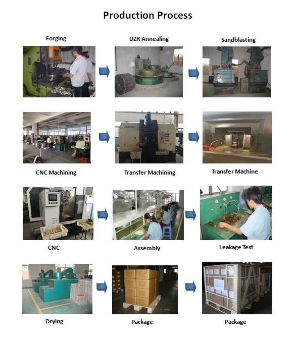 Stainless Steel Full Range Size P Type Rubber Clamp