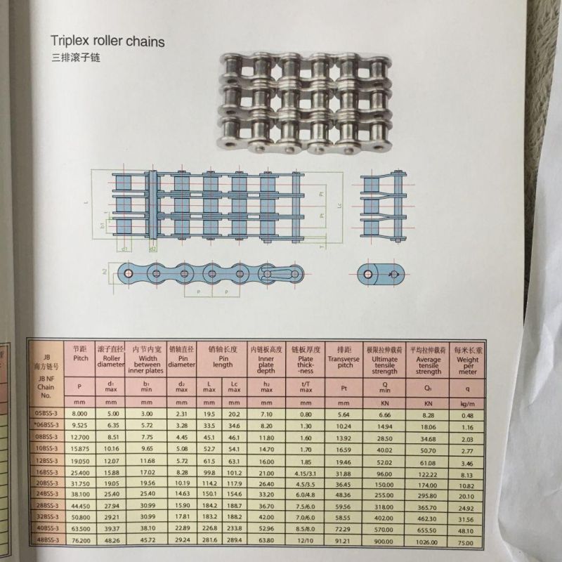Industry 304 Stainless Steel B Series Short Pitch Precision Roller Conveyor Chain