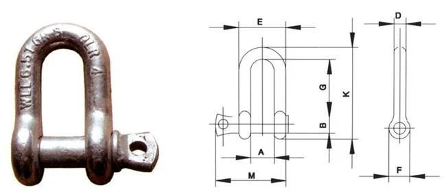 D Shackle 3/4 Inch 4.75 Ton Working Load Alloy Steel G80 Marine Shackle