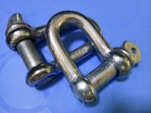 Rigging Hardware D Shackle Used for Chain