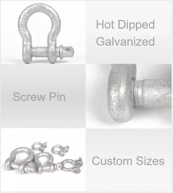 RF 5/16′′ Hot Dipped Galvanized Steel Screw Pin Anchor Shackle