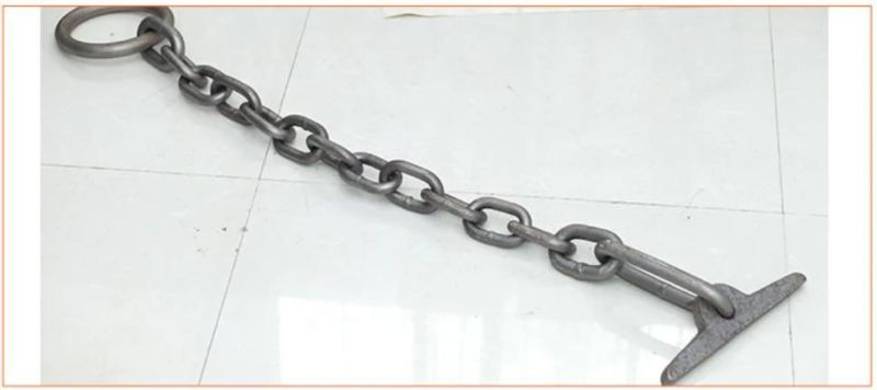 Professional Manufacturer of Hot DIP Galvanized Wharf Chain