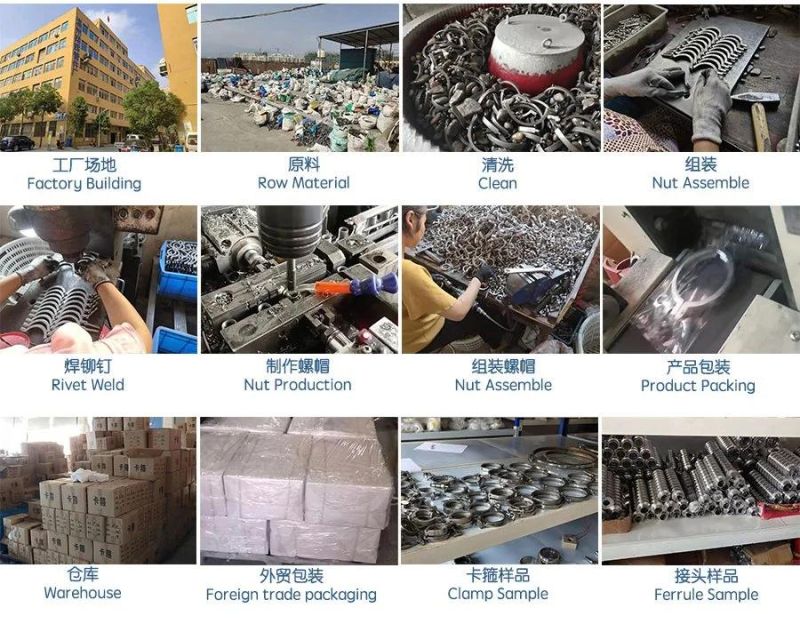 Excellent Stainless Steel High Pressure Clamp