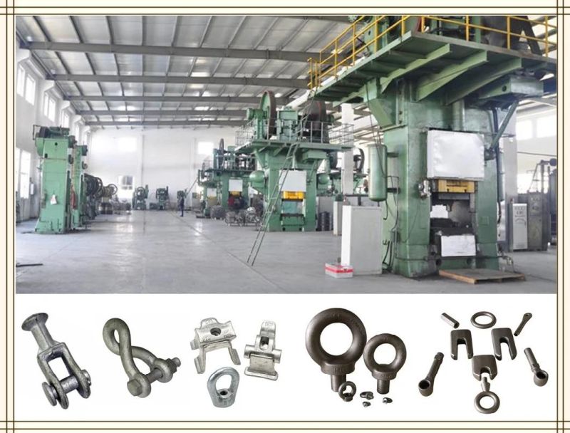High Quality Customized Die Forged Epoxy Paint Hooks