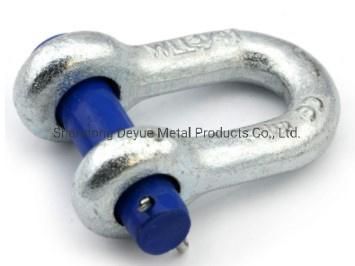 Us Type Steel Drop Forged D Shackle Lifting G210 Screw Pin Chain Shackle