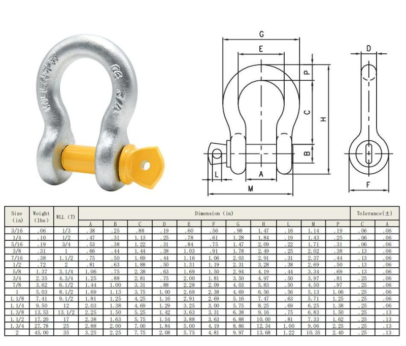 Factory Us Type Shackle Screw Pin Anchor Shackles G209 Hardware