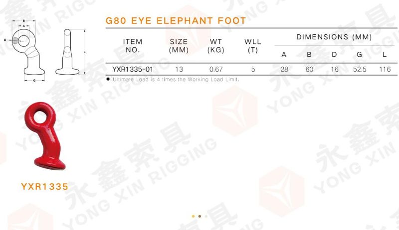 G80 Eye Elephant Foot Forged Alloy Steel Suitable for Lashing Chain 13mm Wll 5ton 4times Working Load Limit