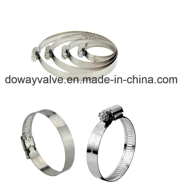 Custom Special American Hose Clamp